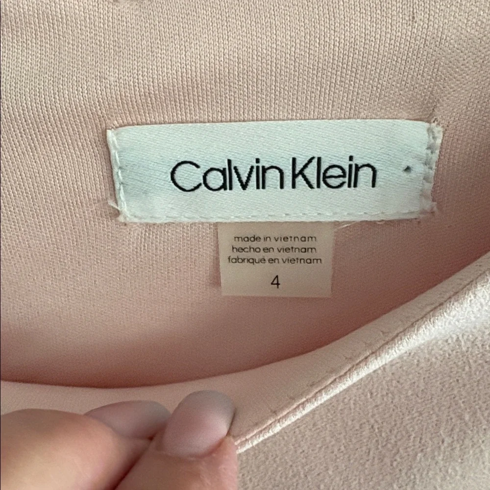 Calvin Klein Blush Pink Lace-Sleeve Midi Dress - Picture 2 of 5